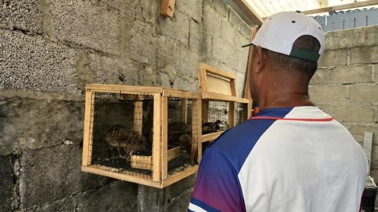 Cubanos deportados a México enfrentan un limbo migratorio
