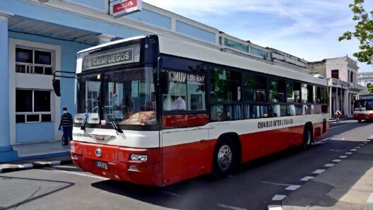 Transporte en Cienfuegos: cinco rutas urbanas volverían en octubre