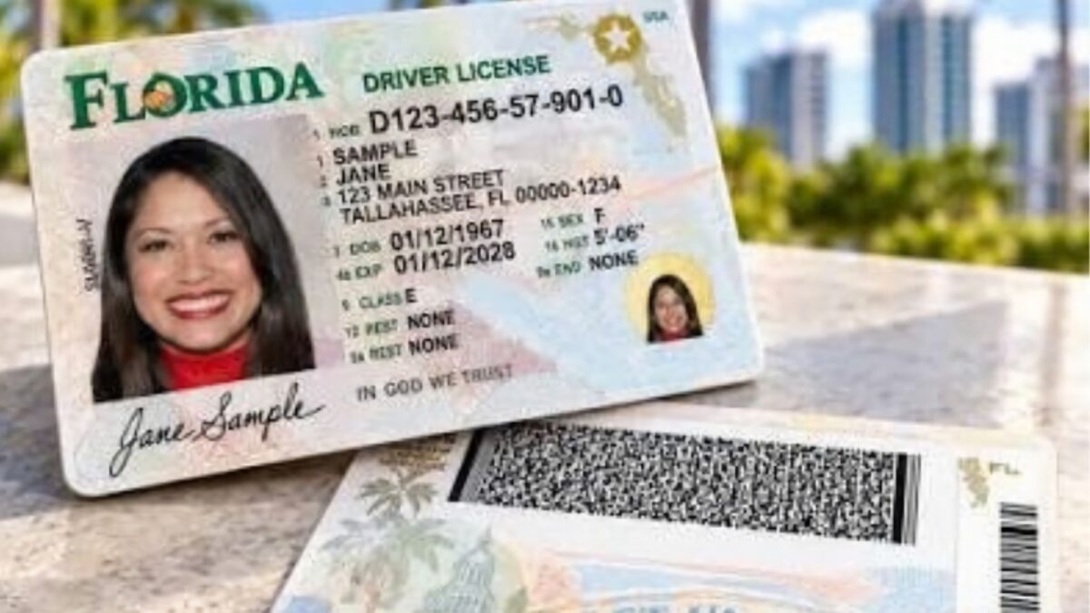 Desde hoy nueva licencia de conducir de Florida: qué cambia y cuándo estará disponible