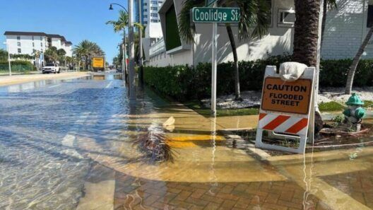 Alerta en el sur de Florida: las mareas altas vuelven a inundar calles este lunes
