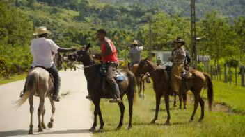 Patrullas Campesinas vigilan cooperativas cubanas ante el aumento del hurto de ganado