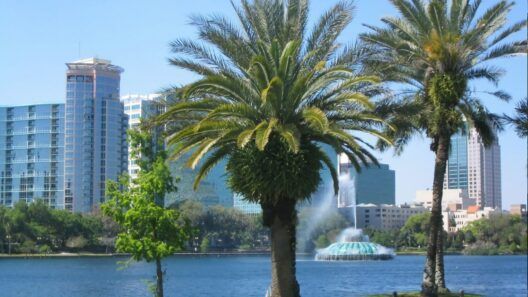 ¿Vives en Florida? Estas 12 nuevas leyes entran en vigor el 1 de octubre