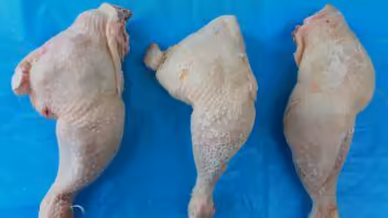 Precios de alimentos en Cuba: pollo a 800 pesos y seis huevos a 960