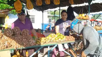 Precios en las ferias agropecuarias de Cuba: denuncian cebolla a 910 pesos