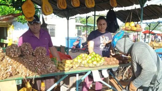 Precios en las ferias agropecuarias de Cuba: denuncian cebolla a 910 pesos