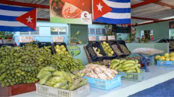 De 15 a 1.750 CUP: así están los precios de los alimentos en Cuba