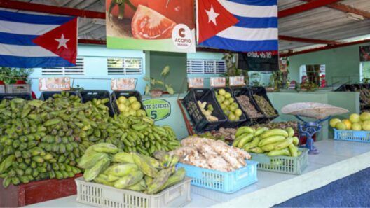 De 15 a 1.750 CUP: así están los precios de los alimentos en Cuba