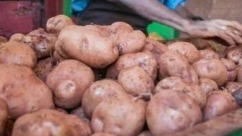 Cooperativa cubana busca convertirse en mipyme para reactivar su producción