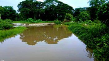 Tormenta local severa golpea San Juan y Martínez con vientos de 93 km/h e inundaciones