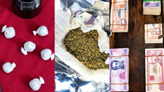 Operativo policial en Guantánamo: ocupan presunta marihuana, dinero y utensilios