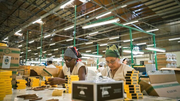 Cuba pide proteger los habanos en Reino Unido ante nueva ley