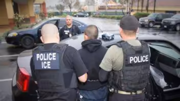 ¿Qué revela una consulta de placa en Florida a ICE y la policía?