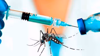 Florida propone que farmacéuticos apliquen vacuna contra el chikungunya