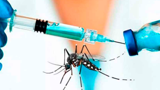 Florida propone que farmacéuticos apliquen vacuna contra el chikungunya