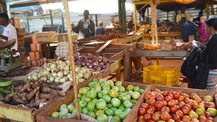 Comercialización agropecuaria en Cuba: publican el Decreto 143 actualizado