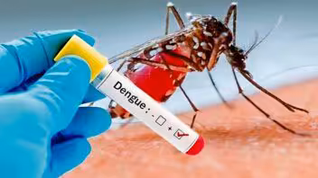 Dengue en Santiago de Cuba: transmisión activa en tres municipios