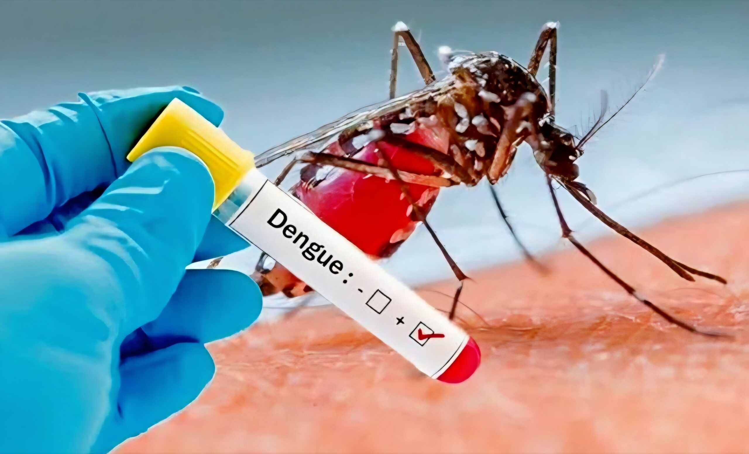 Dengue en Santiago de Cuba: transmisión activa en tres municipios