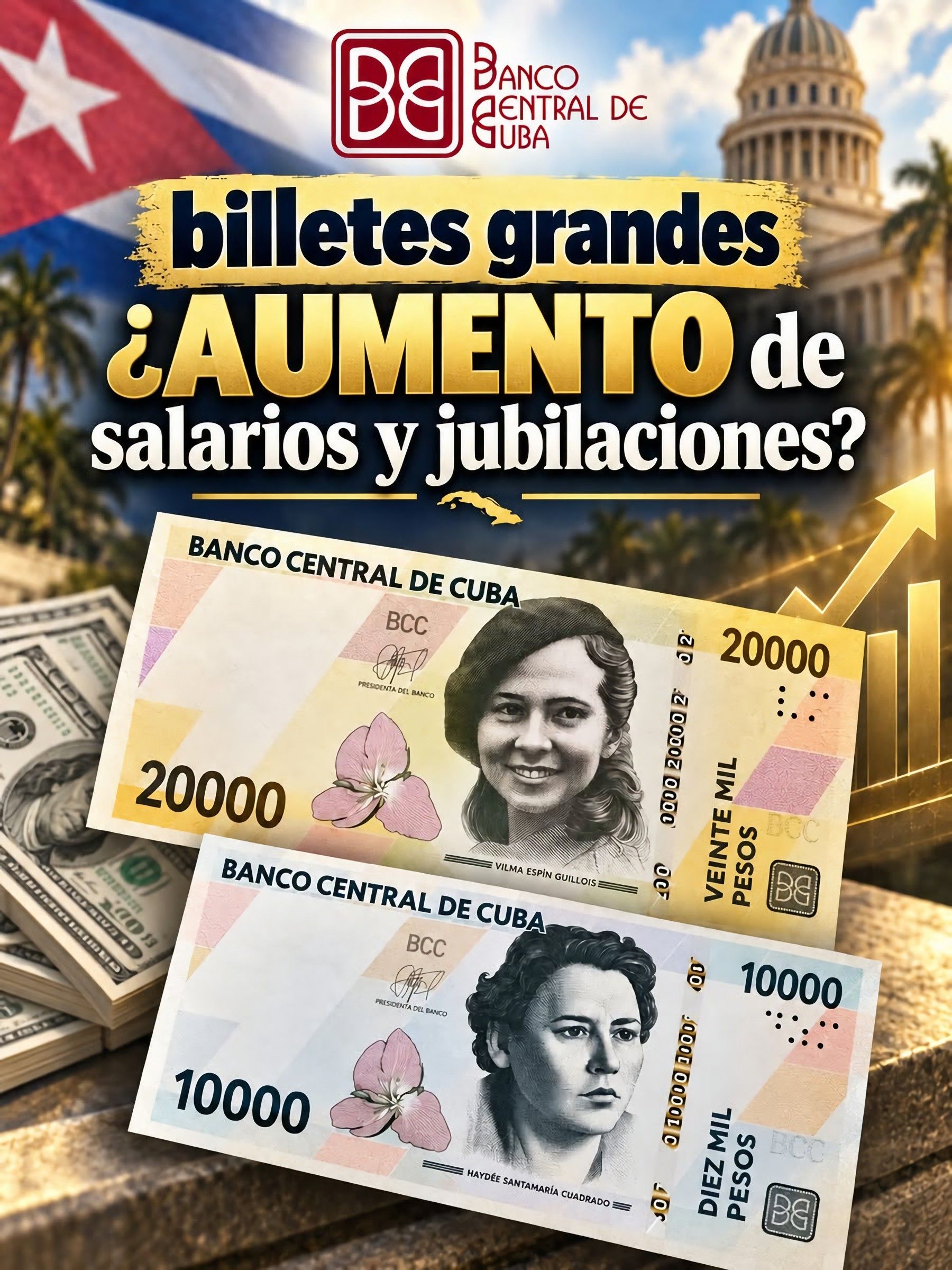 Un solo billete de 20000 equivale a 5 jubilaciones o salarios!