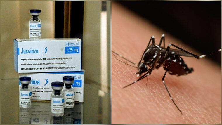 Jusvinza para la artritis post-chikungunya: resultados del ensayo con 300 pacientes