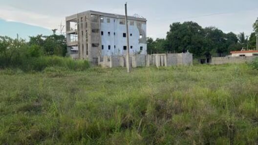Cuba cambia las reglas sobre los terrenos: ¿qué significa para quienes los utilizan?