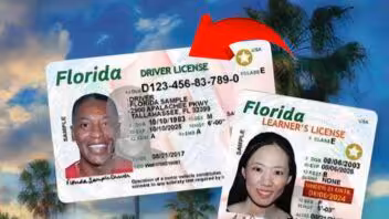 Hackean sistema de licencias de conducir de Florida y crece la preocupación por los datos personales