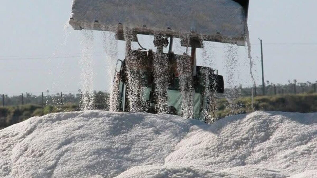 Inspección sanitaria de la sal en Matanzas: revisan su origen y condiciones de venta
