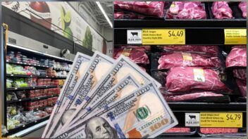 Ayuda para comprar comida aquí en Florida: ¿cómo solicitar SNAP paso a paso en 2026?