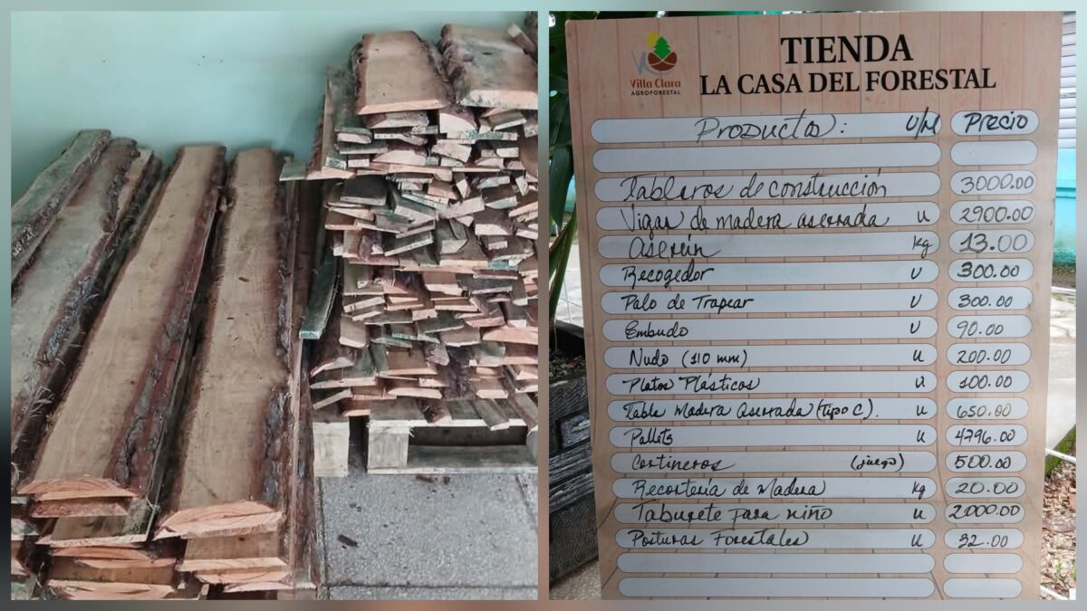 Anuncian venta de madera para construir y reparar viviendas en Cuba: estos son los precios