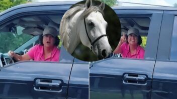 «Tú no estás en Cuba»: Cubana amenaza con deportar a un paisano en Homestead por andar con un caballo