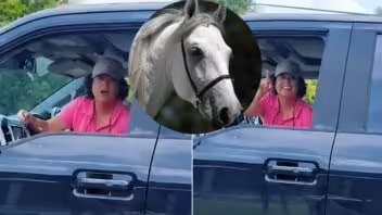«Tú no estás en Cuba»: Cubana amenaza con deportar a un paisano en Homestead por andar con un caballo