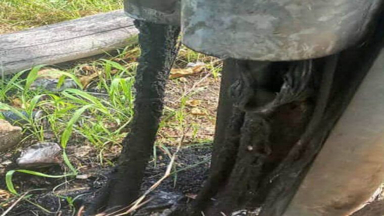 Vandalismo contra la telefonía en La Habana interrumpe servicios y afecta inversiones