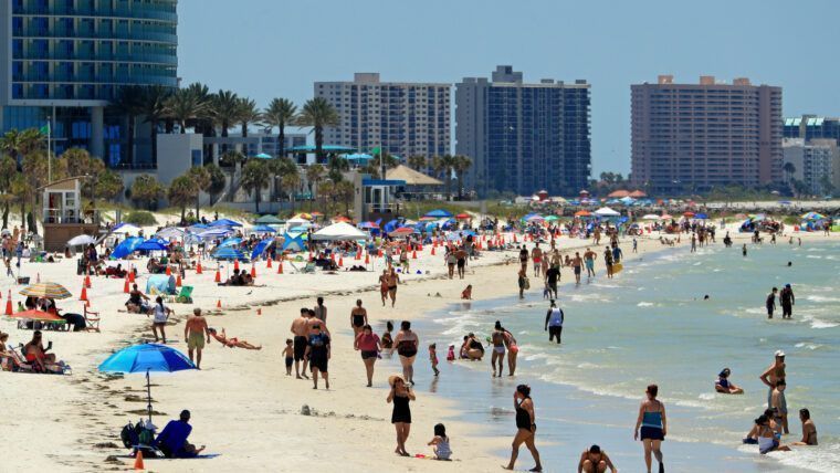 Vibrio vulnificus en Florida: cinco muertes y 23 casos en 2026