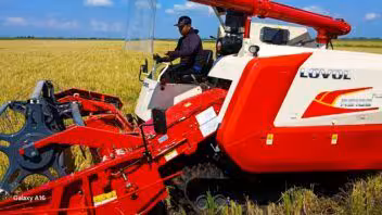 Arroz en Granma: convenio con Vietnam busca superar las 1.500 toneladas