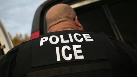 Más deportaciones y apoyo a ICE: ¿qué prometen cinco candidatos republicanos?