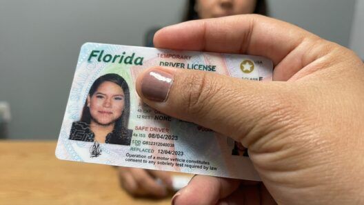 Licencia de conducir en Florida: una revisión de SAVE puede retrasar el trámite