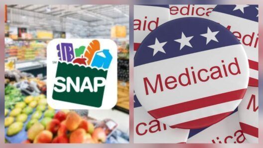 Nueva York despliega ayuda para Medicaid y SNAP ante cambios en los requisitos