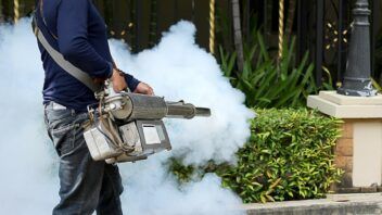 Dengue en Florida: 252 casos locales y Tampa concentra el brote