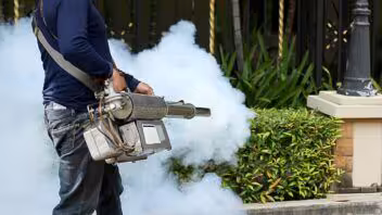 Dengue en Florida: 252 casos locales y Tampa concentra el brote