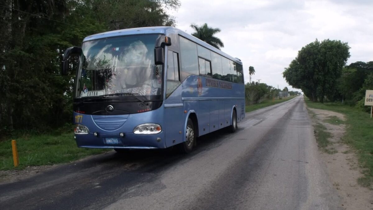 Transporte interprovincial en Cuba: de 419 salidas diarias desde La Habana a solo 11
