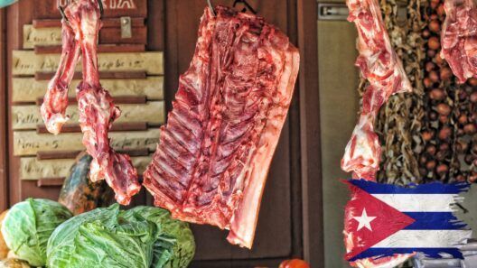 Cuba: casi la mitad de los jubilados encuestados dejó de comer un día entero
