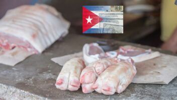 Precios de los alimentos en Cuba: suben huevos, arroz y cerdo