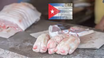 Precios de los alimentos en Cuba: suben huevos, arroz y cerdo