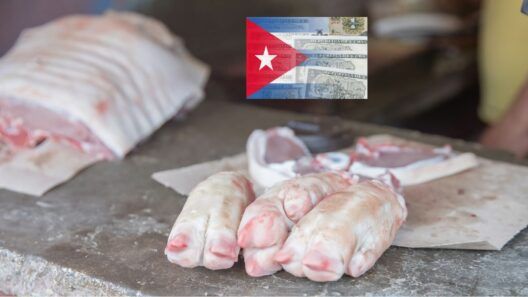 Precios de los alimentos en Cuba: suben huevos, arroz y cerdo