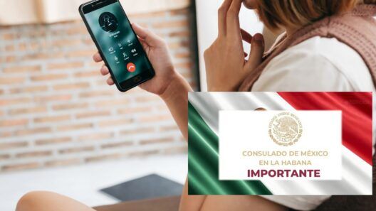 México alerta desde La Habana sobre un peligro detrás de las propuestas de matrimonio por internet