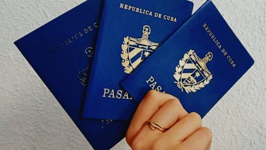 Llegan nuevos pasaportes cubanos a Angola: lista de 104 personas que pueden recogerlos