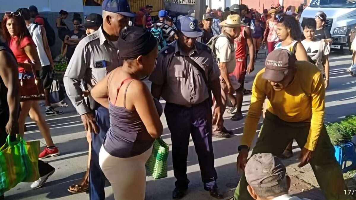 Reportan detención de un vendedor por 11 sacos de ajo presuntamente robados en Guantánamo