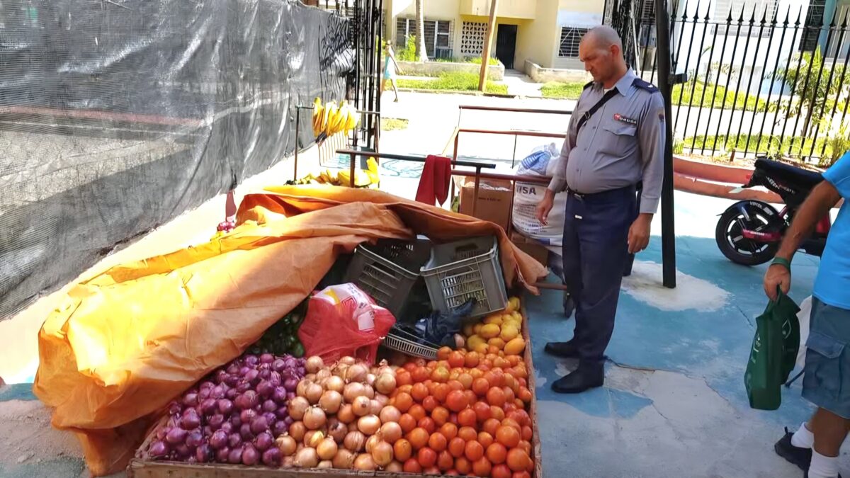 Operativo contra vendedores en La Habana: dos detenidos, decomisos y multas superiores a 100 mil pesos