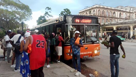 Horarios de las guaguas en La Habana: estas son las salidas de lunes a viernes