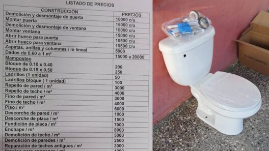Precios de albañilería en La Habana desatan polémica: «Construir en Cuba es para millonarios»