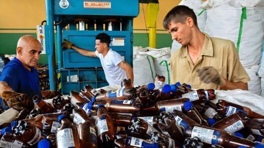 Cuatro mipymes de Holguín buscarán abrirse paso en mercados externos